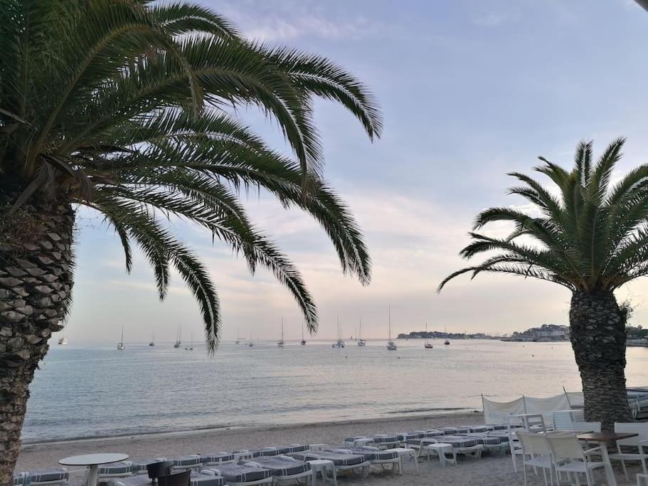 "Le Palmier Dore", Cosy T3 A 3 Minutes A Pied Des Plages, Parking Et Clim Sanary-sur-Mer Bagian luar foto